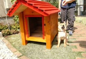 子犬のうちは、犬小屋をよく噛みます。でも厚板であれば大丈夫。しっかり長持ちします。